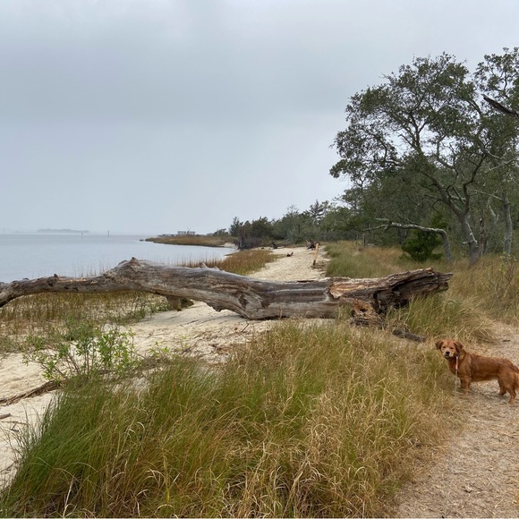 Meet your Posher, Madeline - Picture 9 of 10